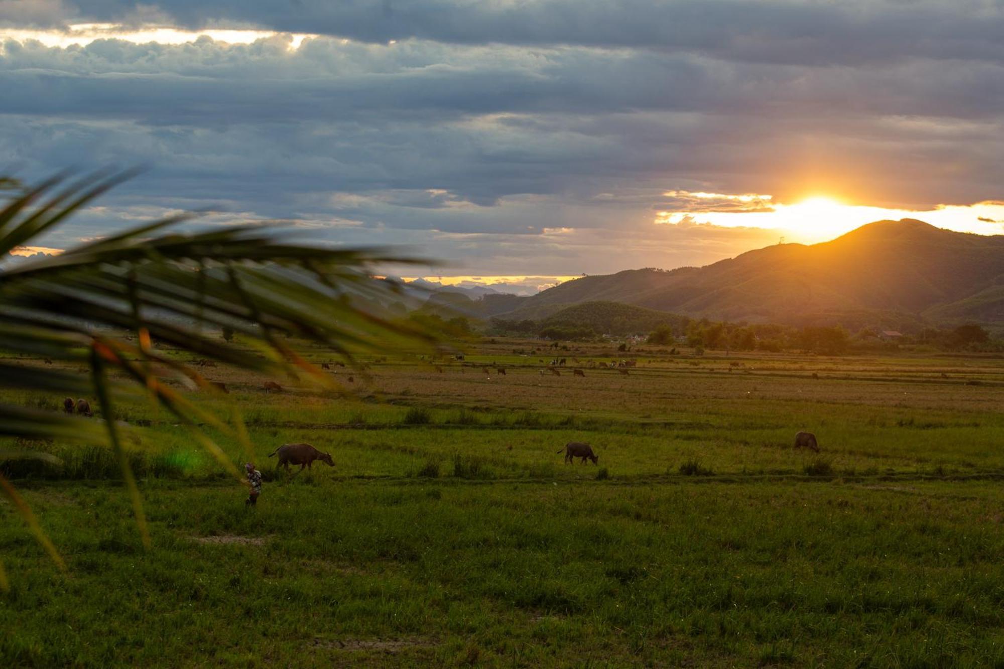 Phong Nha Farmstay Eksteriør bilde